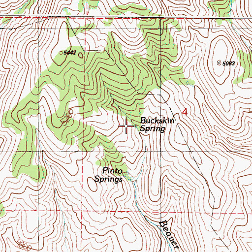 Topographic Map of Buckskin Spring, OR