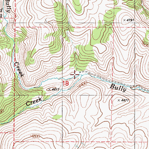 Topographic Map of North Bully Creek, OR
