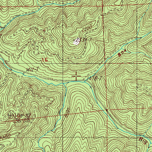 Topographic Map of Box Canyon, OR