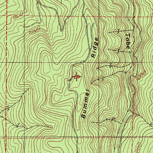 Topographic Map of Bummer Ridge, OR