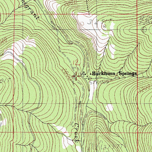 Topographic Map of Buckhorn Springs, OR