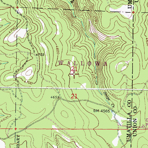 Topographic Map of Snipe Spring, OR