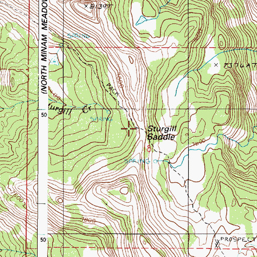 Topographic Map of Sturgil Saddle, OR