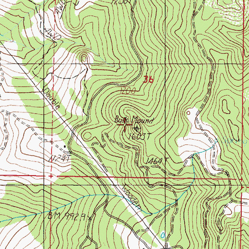 Topographic Map of Bush Mound, OR