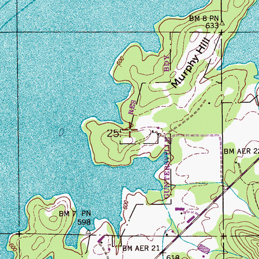 Topographic Map of Johnson Cemetery, AL