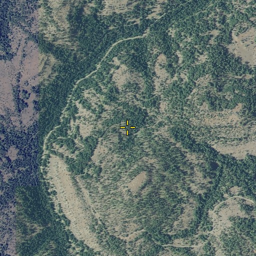 Aerial/Satellite Image of Brown Spring, OR