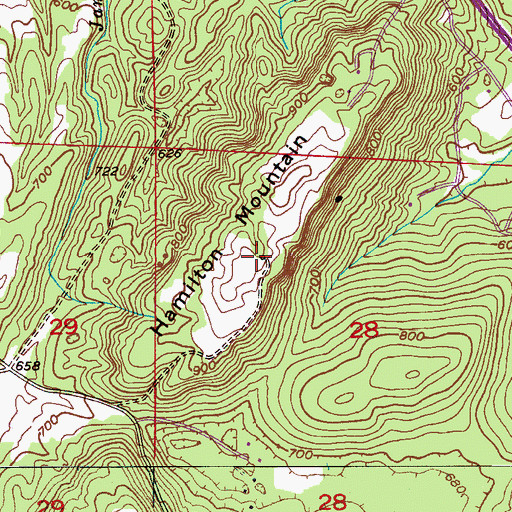 Topographic Map of Rickwood Caverns State Park, AL