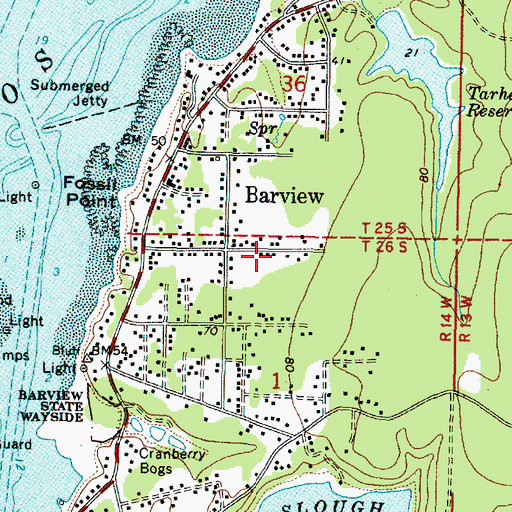 Topographic Map of Chickamin Mine, OR