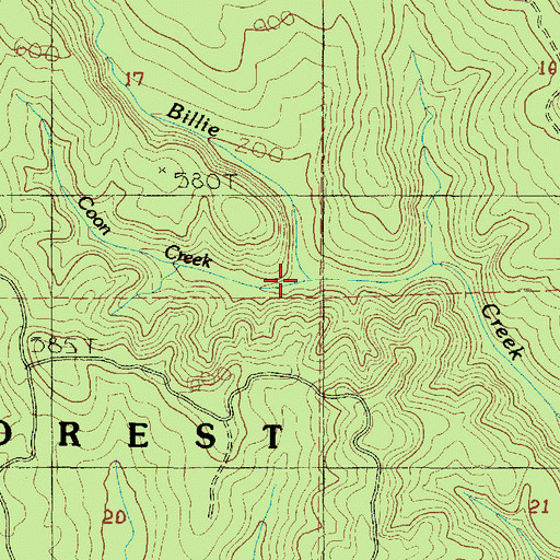 Topographic Map of Coon Creek, OR