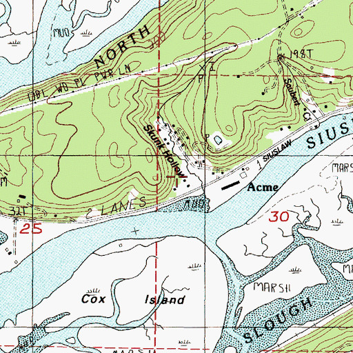 Topographic Map of Skunk Hollow, OR