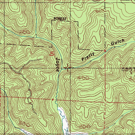 Topographic Map of Pretty Gulch, OR
