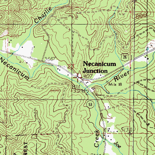 Topographic Map of Necanicum Junction, OR