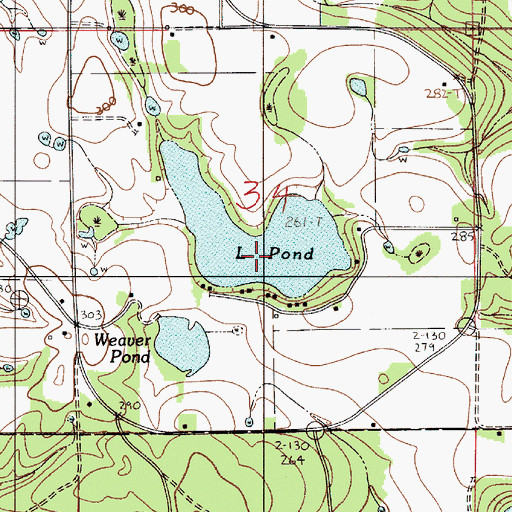 Topographic Map of L Pond, AL