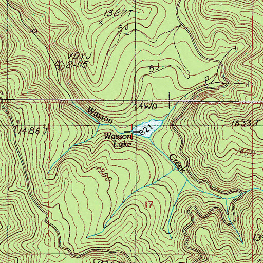 Topographic Map of Wasson Lake, OR