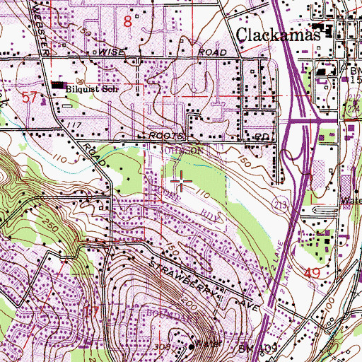 Topographic Map of Johnson City, OR