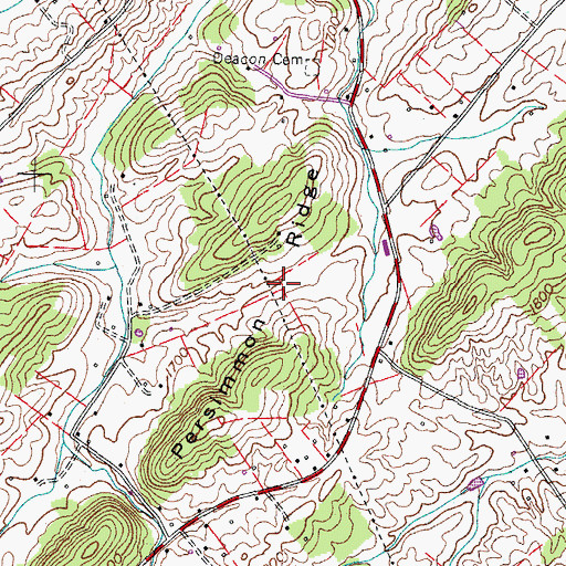 Topographic Map of Persimmon Ridge, TN