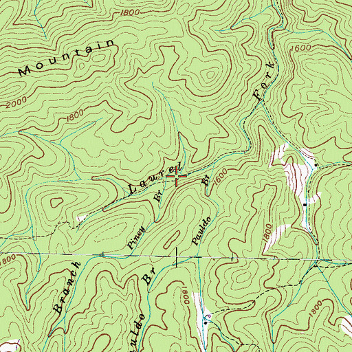 Topographic Map of Piney Branch, TN