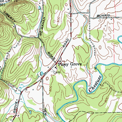 Topographic Map of Piney Grove, TN