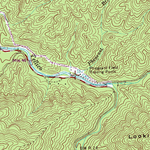 Topographic Map of Pleasant Branch, TN