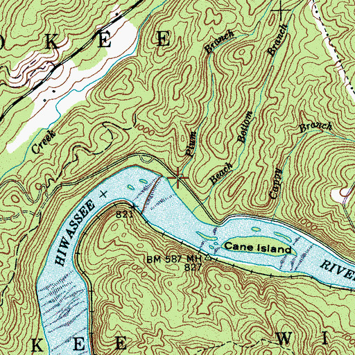 Topographic Map of Plum Branch, TN