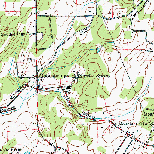 Topographic Map of Plumlee Spring, TN