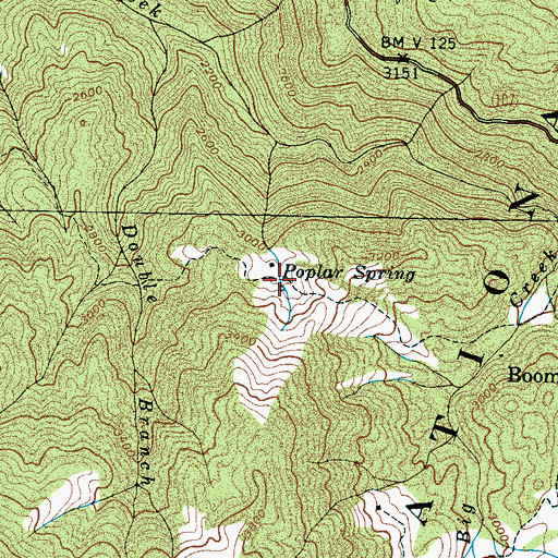 Topographic Map of Poplar Spring, TN