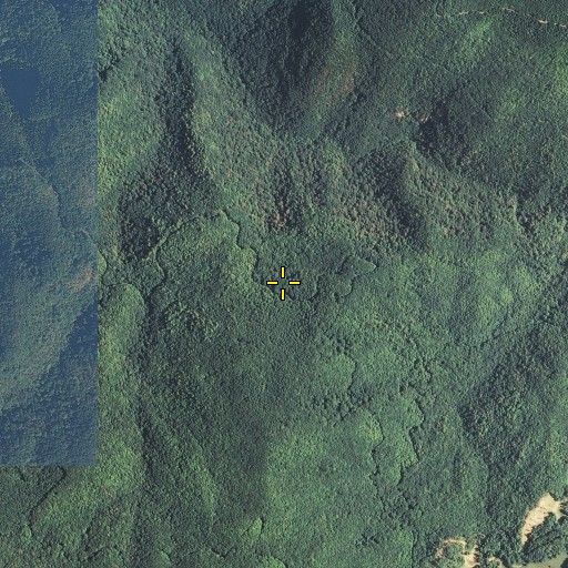 Aerial/Satellite Image of Poplar Spring, TN