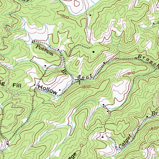 Topographic Map of Possum Branch, TN