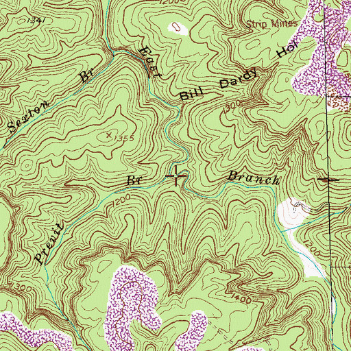 Topographic Map of Previt Branch, TN