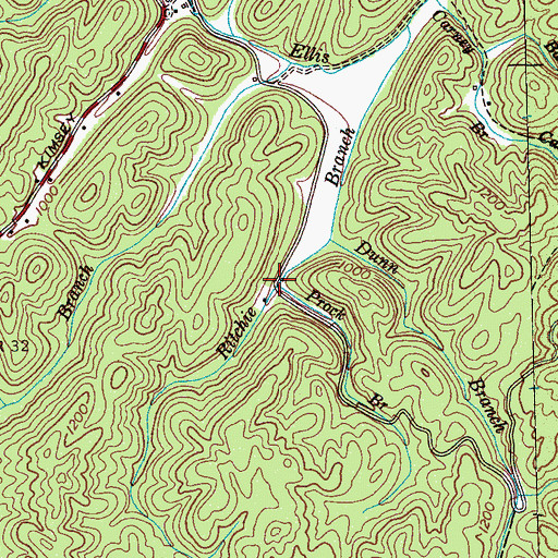 Topographic Map of Prock Branch, TN