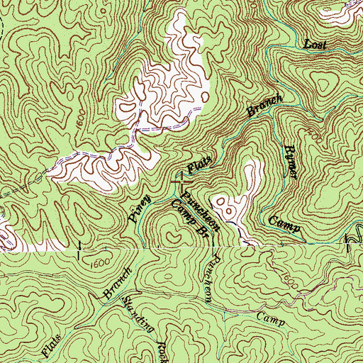Topographic Map of Puncheon Camp Branch, TN