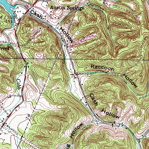 Topographic Map of Raccoon Hollow, TN