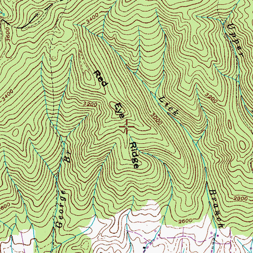 Topographic Map of Red Eye Ridge, TN