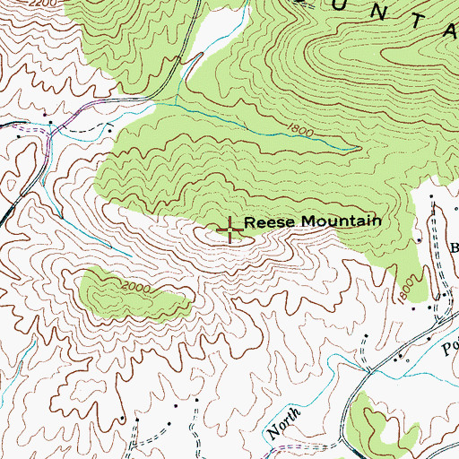 Topographic Map of Reese Mountain, TN