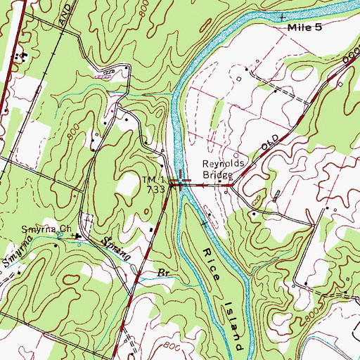 Topographic Map of Reynolds Bridge, TN