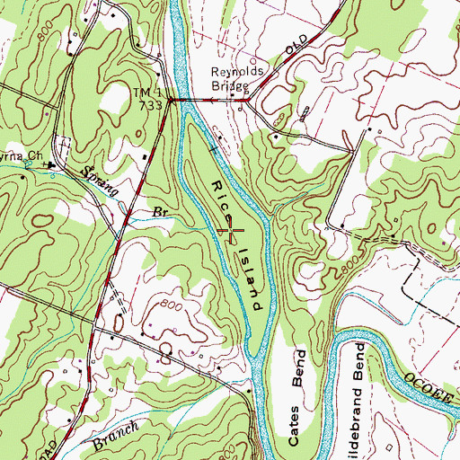 Topographic Map of Rice Island, TN