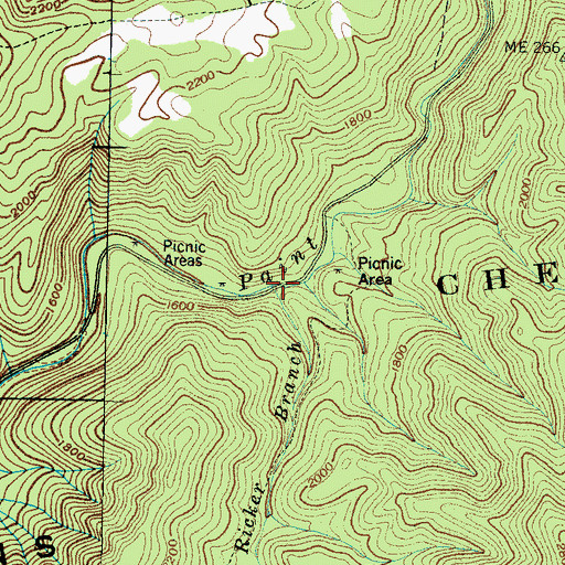 Topographic Map of Ricker Branch, TN