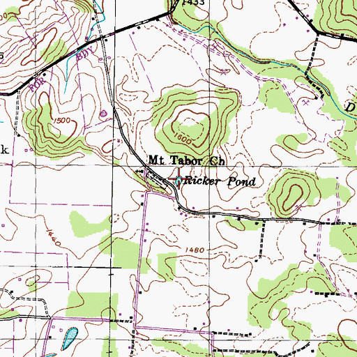 Topographic Map of Ricker Pond, TN