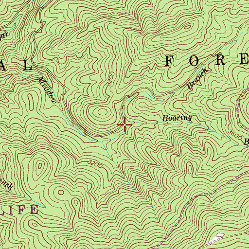 Topographic Map of Roaring Branch, TN