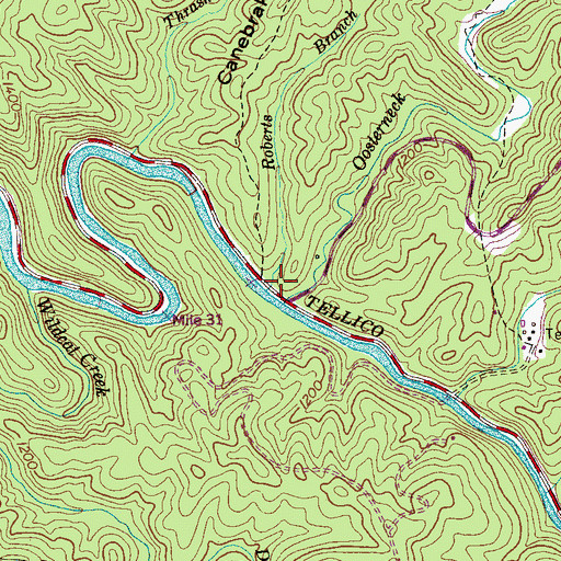 Topographic Map of Roberts Branch, TN