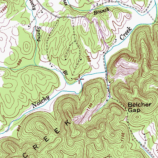 Topographic Map of Rocky Spring Branch, TN