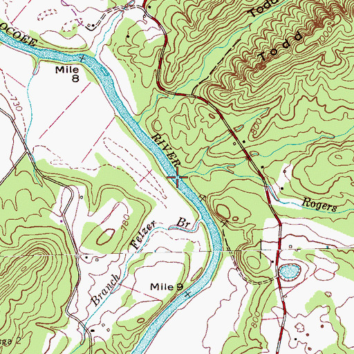 Topographic Map of Rogers Branch, TN