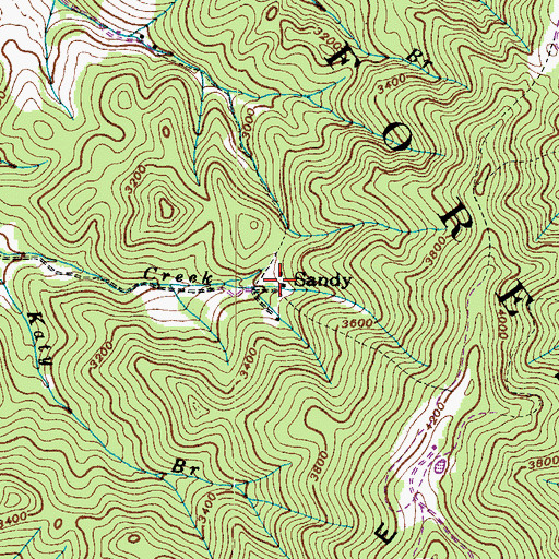 Topographic Map of Sandy, TN