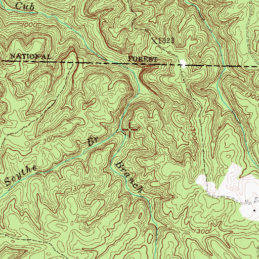 Topographic Map of Scythe Branch, TN