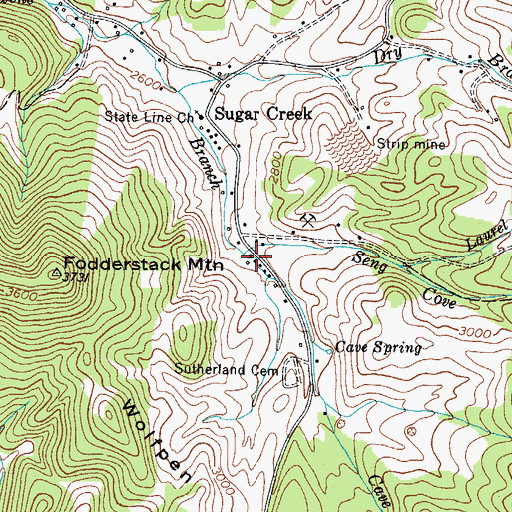Topographic Map of Seng Cove Branch, TN