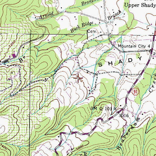 Topographic Map of Shady Valley, TN