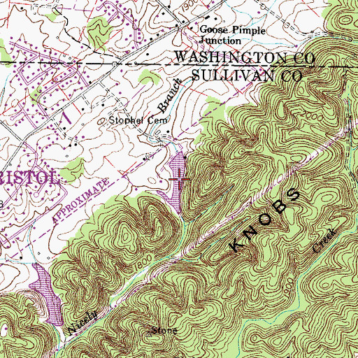 Topographic Map of Taylor Lake, TN