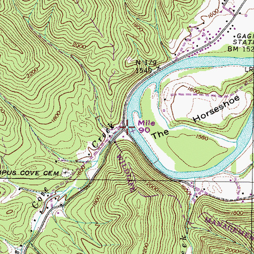 Topographic Map of Bumpus Cove, TN