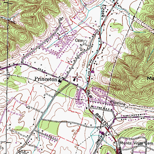 Topographic Map of Princeton School (historical), TN