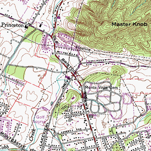 Topographic Map of Reston Court, TN